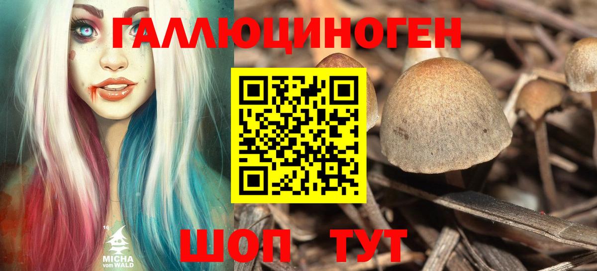 Балтийск  Псилоцибиновые грибы мицелий  Вход с VPN  Псилоцибиновые грибы прущие грибы 